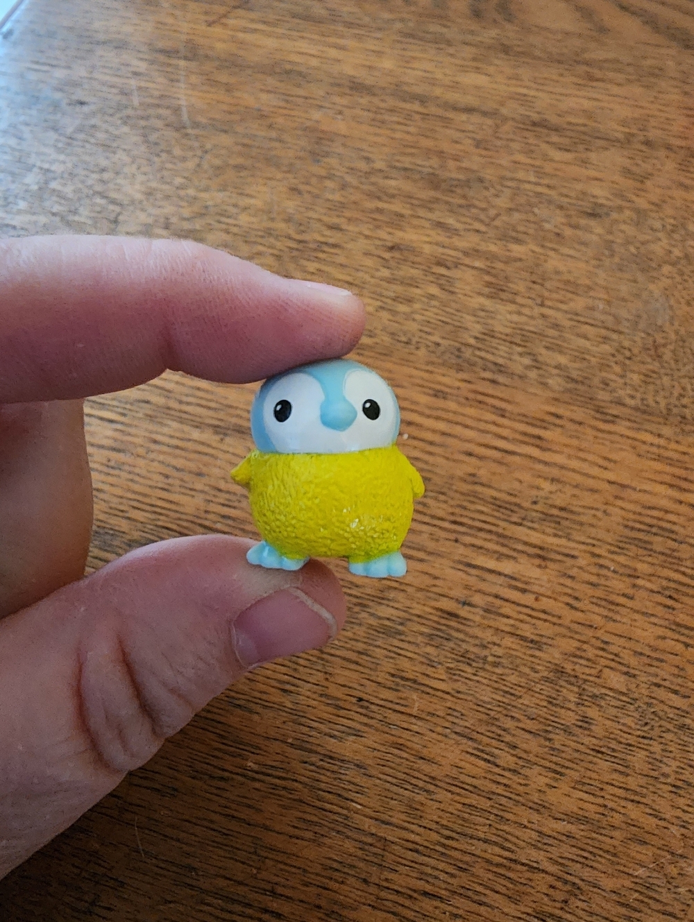 Shopkin, Squinkies, & Splashlings Mini's - Picture 16 of 16